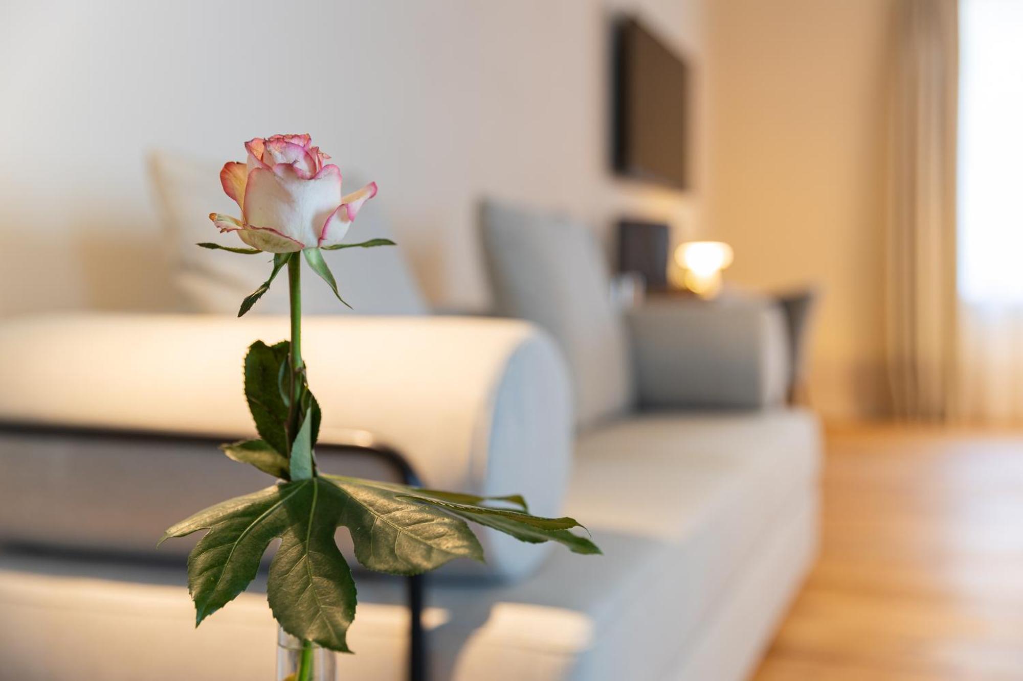 Boutique Hotel Gruener Zweig Schlettau Kültér fotó